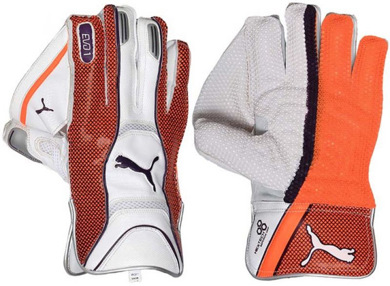 Puma Evo 1 Wicket Keeping Gloves