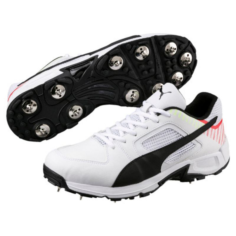 puma cricket spikes